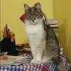 Отзыв от Тамара Рудакова